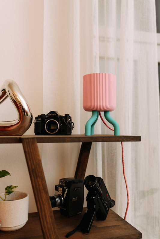 9) Lampička chobotnička