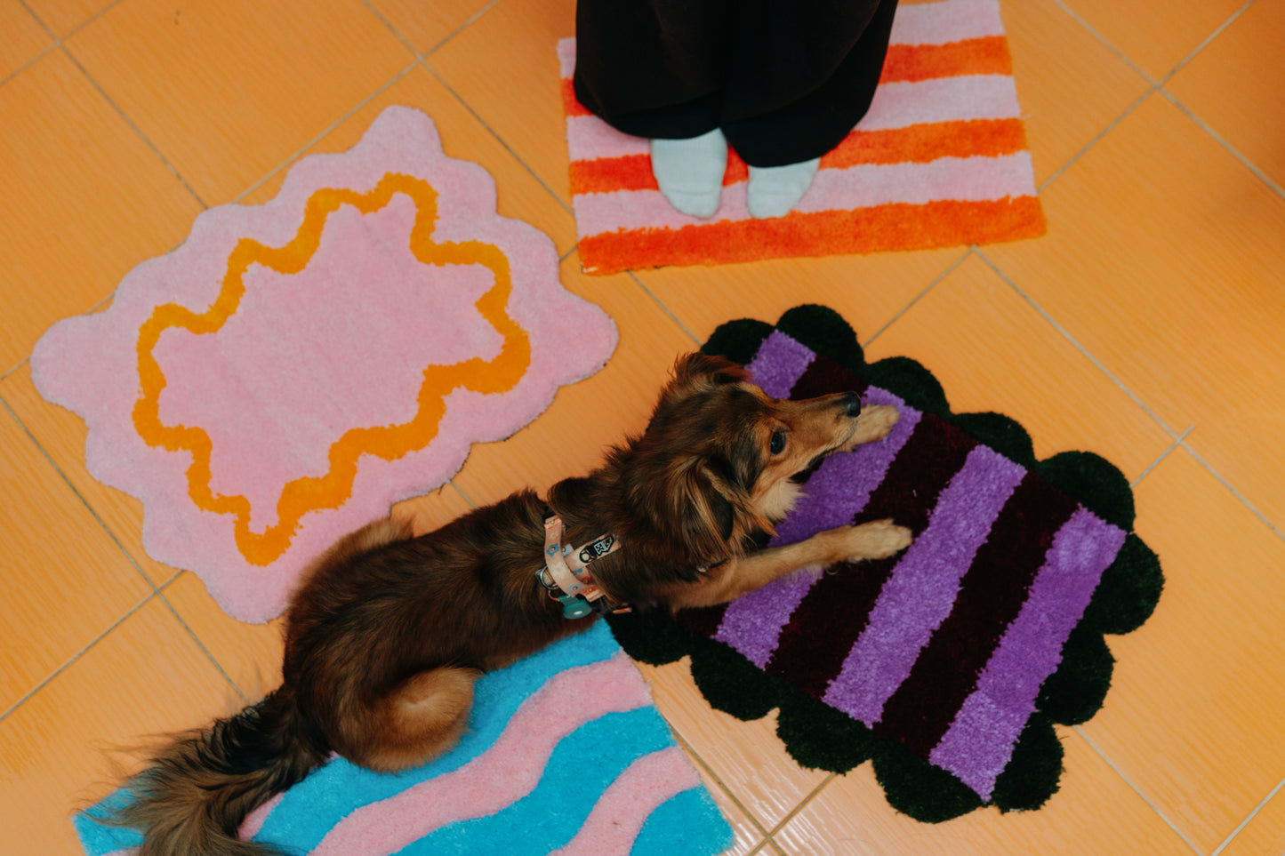 Kobereček - prďola