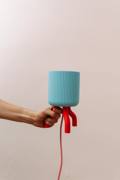 Lampička chobotnička