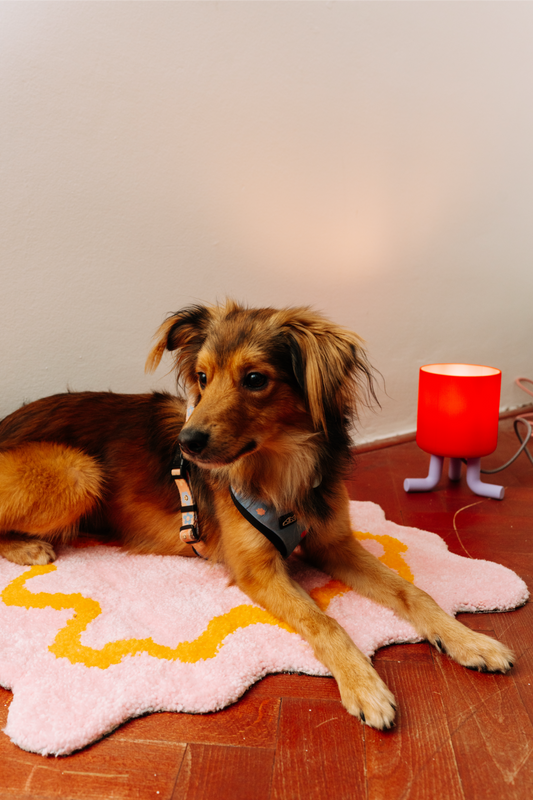 Kobereček - prďola