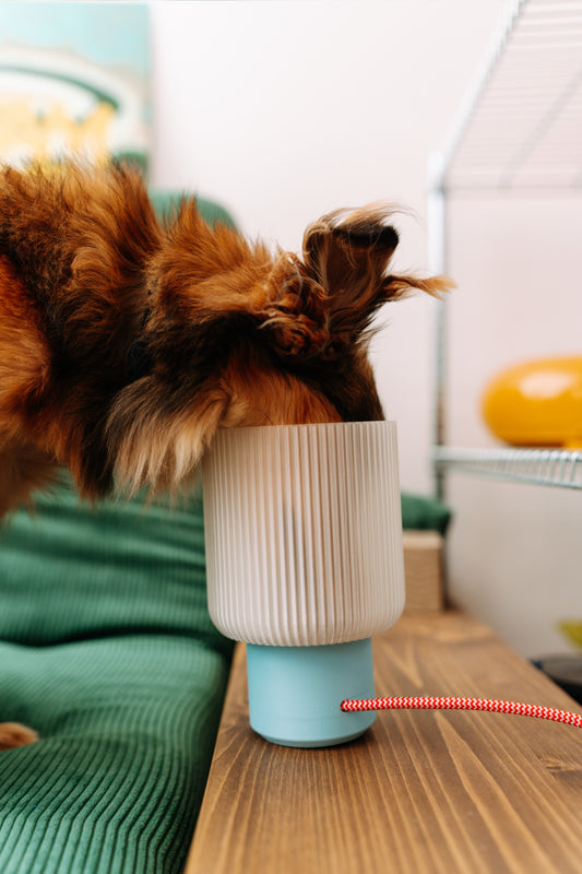 11) Paní lampičková